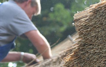 professional Stopper Lane thatchers