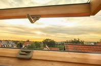 rated Stopper Lane roof window companies